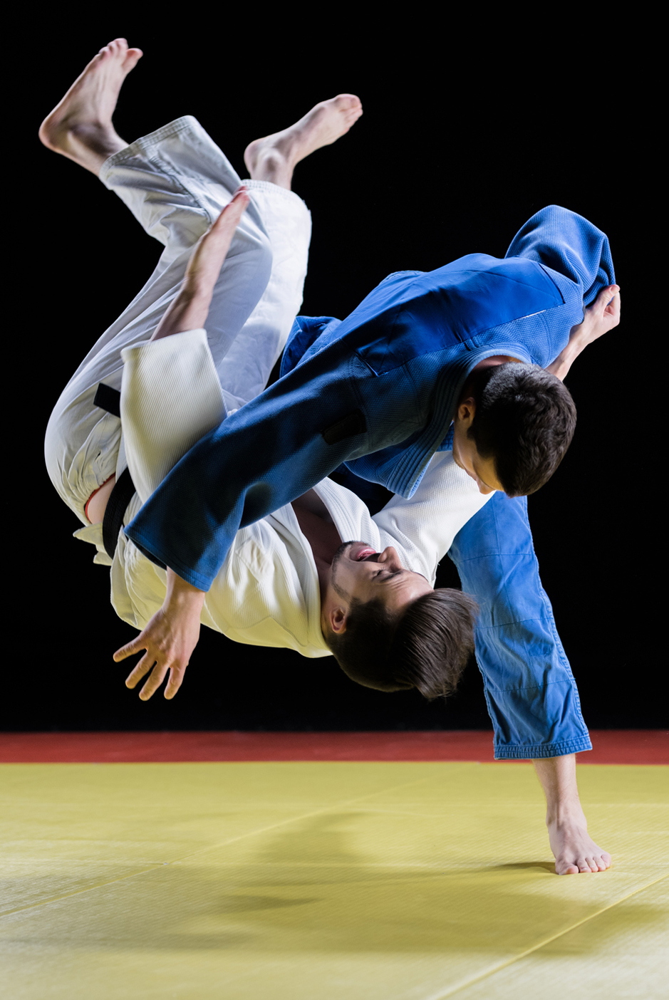 judo hanche